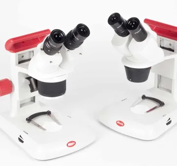 Estereomicroscopio RED30 Motic