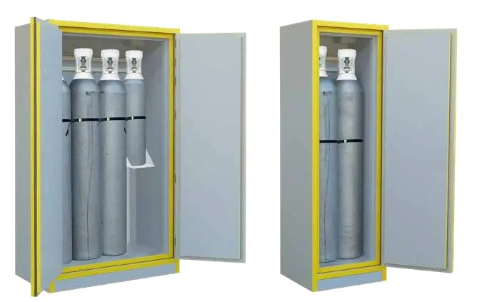 Armarios de seguridad para botellas de gas serie 7630BG Ecosafe