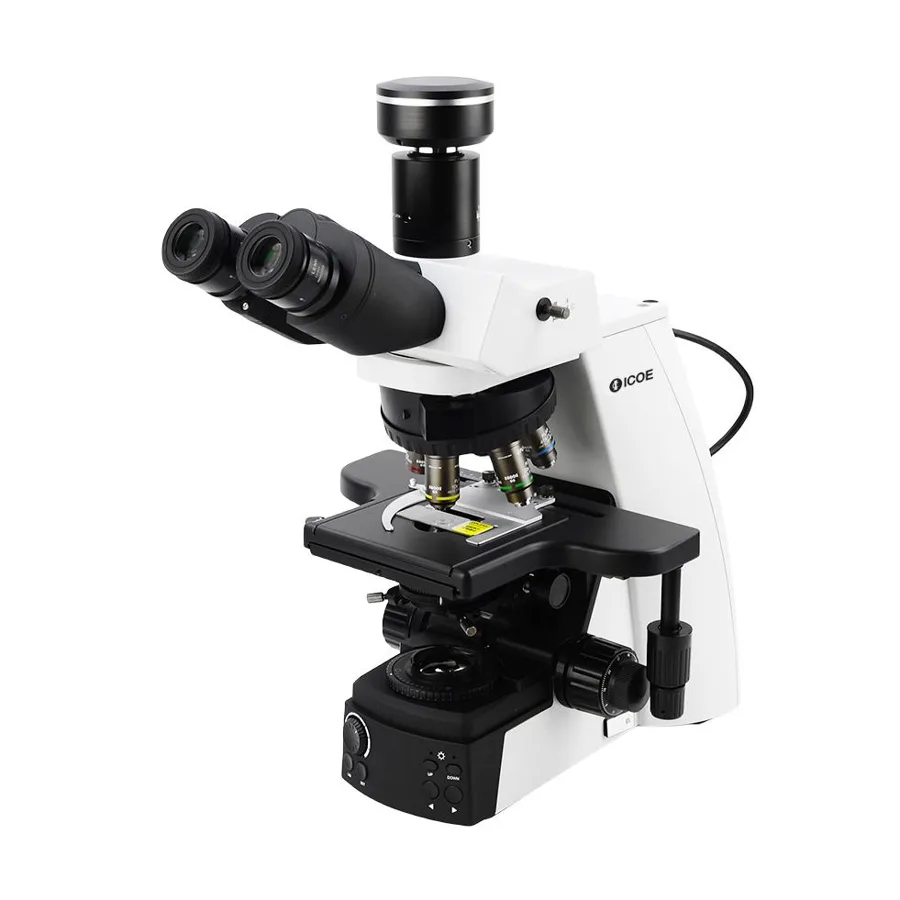 Microscopio biológico APEX100 Icoe