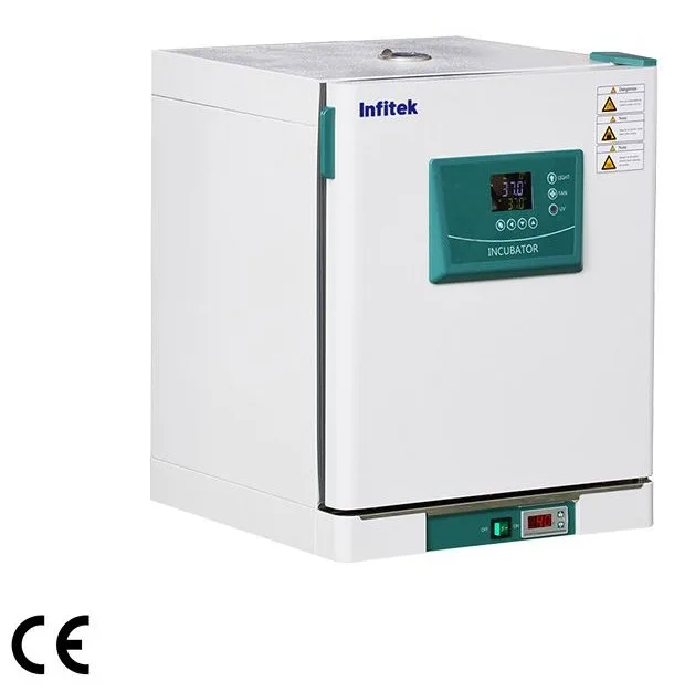 Incubadora de temperatura constante Infitek ICB-P