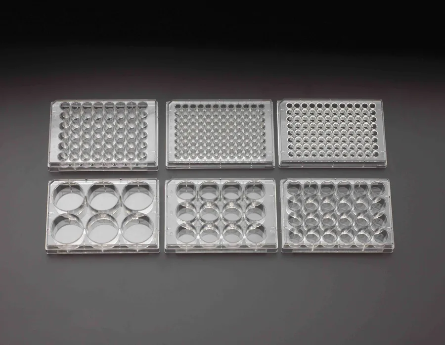 Plásticos de cultivo y tubos Placas multipocillo TCT Pro Scientific