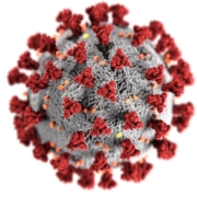 Coronavirus test rápido PCR covid cromtek laboratorio