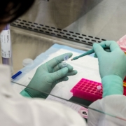 Científico cromtek haciendo test PCR microchip