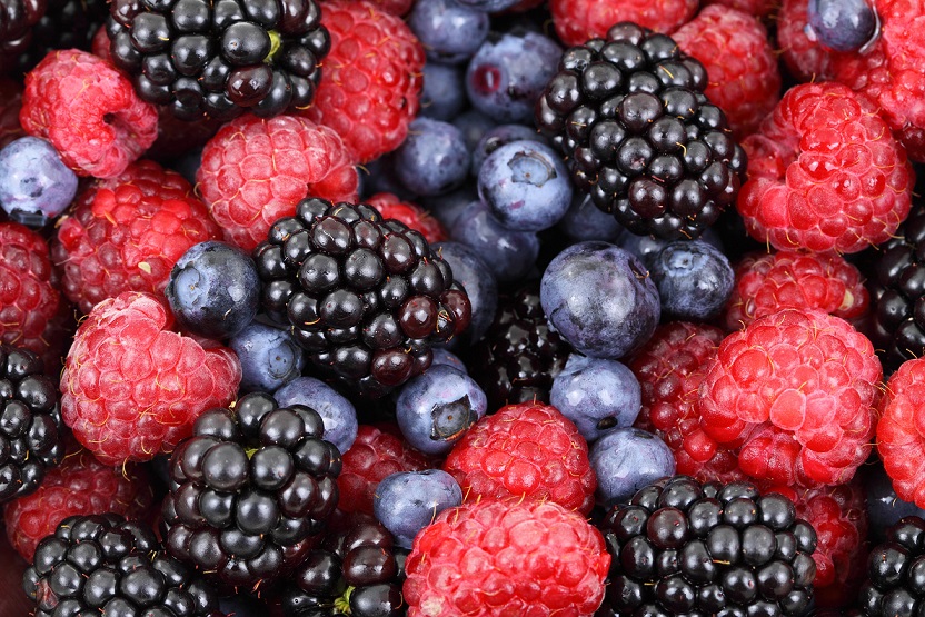 Frutas berries colores medición de color control de calidad equipos de laboratorio cromtek