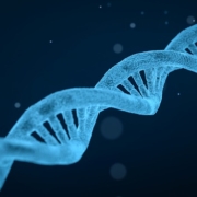 Estudio farmogenético genetica medicamentos pacientes genes