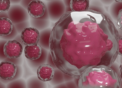 Células madre medicina laboratorio regeneración celular