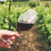 Destilación del vino para determinar el grado alcoholico