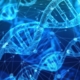 Transiluminador de laboratorio para la detección de ADN