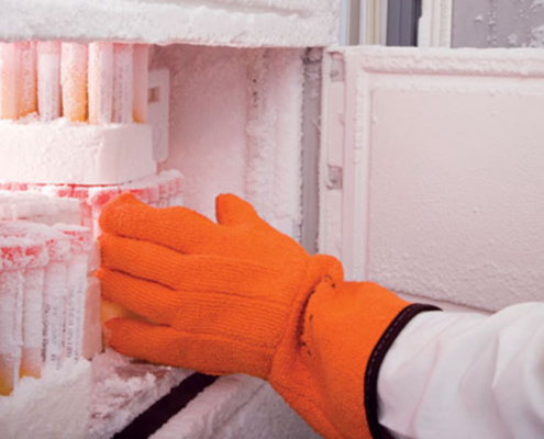 Muestras congeladas en laboratorio científico
