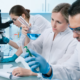Concentrador de muestras de laboratorio para análisis