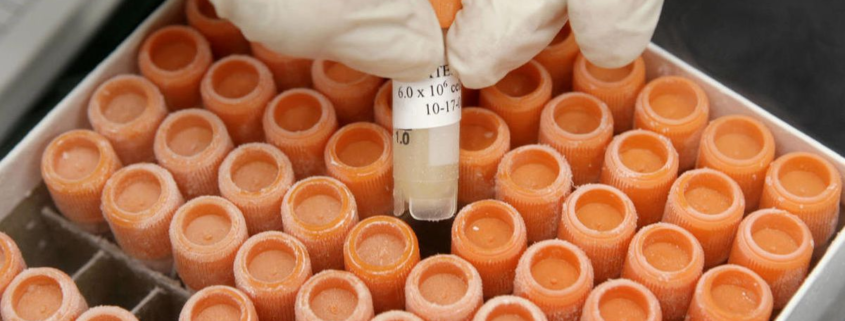 Freezer para laboratorios biobancos congelado frascos ciencia