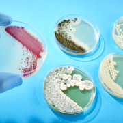 Incubadora de CO2 para laboratorio de biotecnología