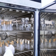 Horno de laboratorio aplicaciones en ciencias