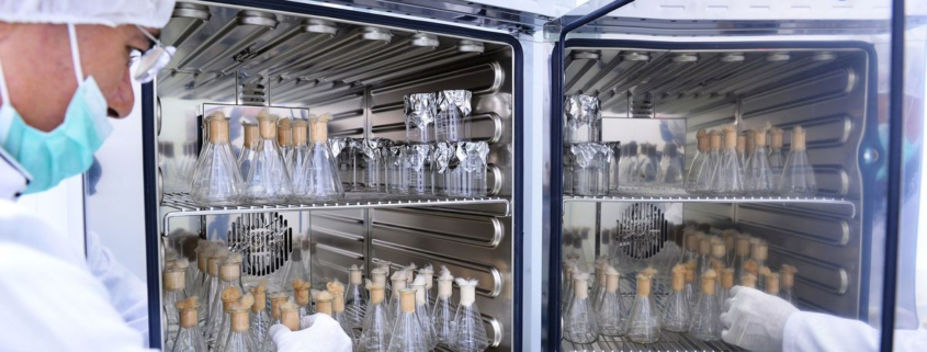 Horno de laboratorio aplicaciones en ciencias