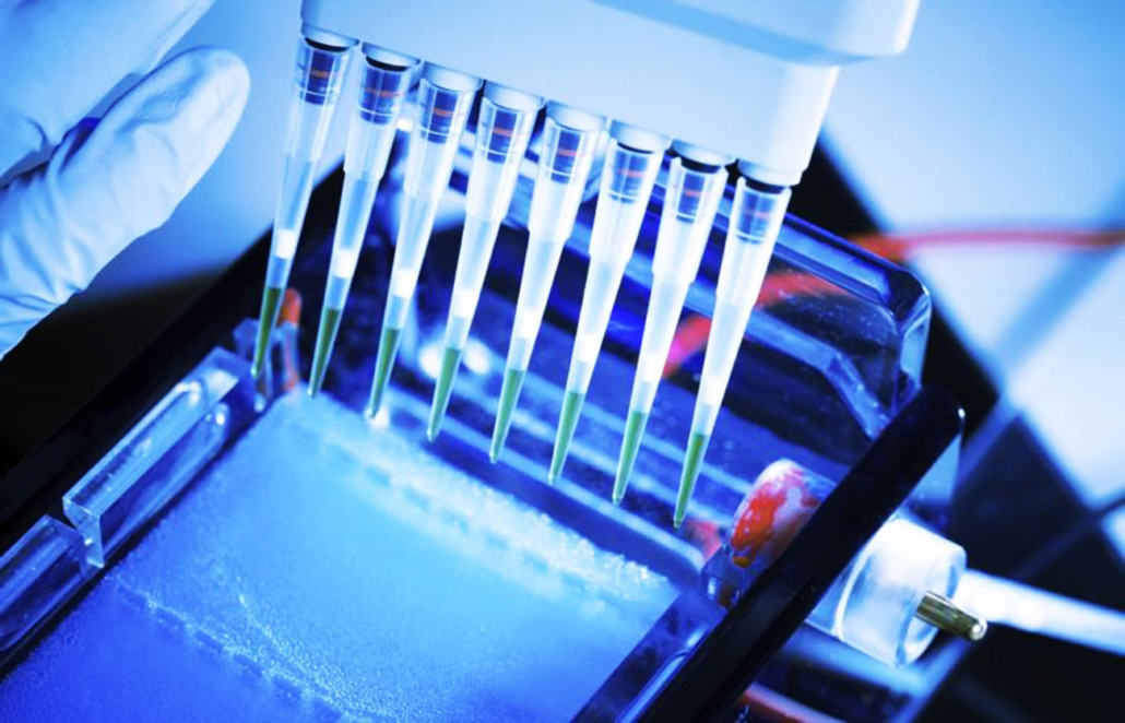 Gel para electroforesis en laboratorio