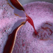 Análisis cuantitativo en la industria vitivinícola producción de vino