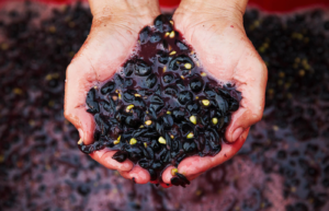 Análisis cuantitativo en la industria vitivinícola producción de vino