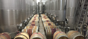 Vino producción análisis vitivinícola mosto