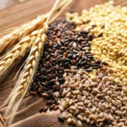 Determinación de fibra alimentos equipos de laboratorio