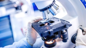 Análisis de fibras en productos de filtración con microscopía SEM