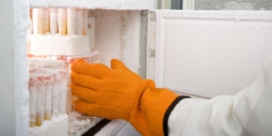 Ultrafreezer equipos de laboratorio freezer muestras