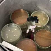 Autoclave esterilización de líquidos equipos de laboratorio