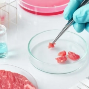 Incubadora de Co2 para cultivo celular equipos de laboratorio