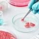 Incubadora de Co2 para cultivo celular equipos de laboratorio