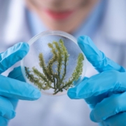 Huella de carbono en el laboratorio equipos de laboratorio sustentabilidad
