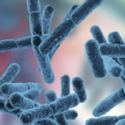 Probióticos fermentación biorreactor equipos de laboratorio