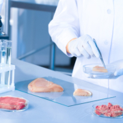Carnes alimentos análisis PCR ADn