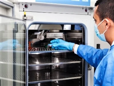 Análisis de estabilidad y degradación de los alimentos con incubadora