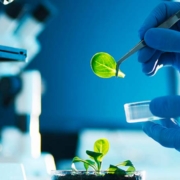 Bioinsumos biotecnología equipos de laboratorio investigación