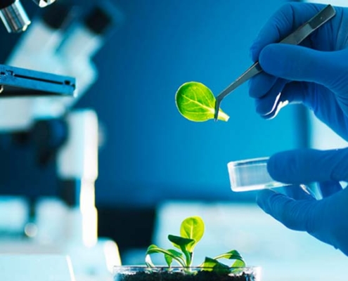 Bioinsumos biotecnología equipos de laboratorio investigación