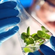 Bioinsumos biotecnología equipos de laboratorio investigación