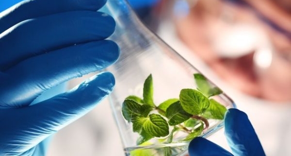 Bioinsumos biotecnología equipos de laboratorio investigación