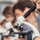 Microscopio equipos de laboratorio análisis