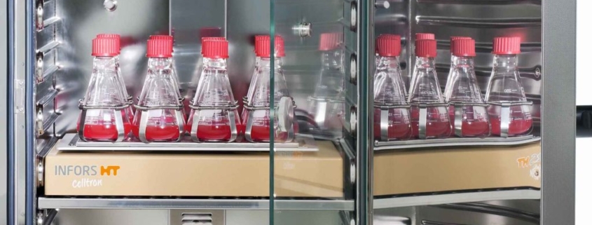 Incubadora de Co2 equipos de laboratorio análisis