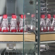 Incubadora con agitación equipos de laboratorio análisis