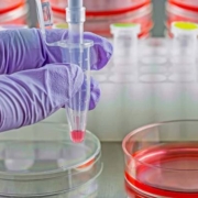 Cultivo celular equipos de laboratorio análisis ciencia
