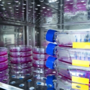 Incubadora de CO2 equipos de laboratorio análisis ciencia
