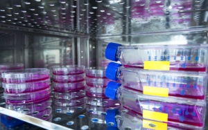 Incubadora de CO2 equipos de laboratorio análisis ciencia