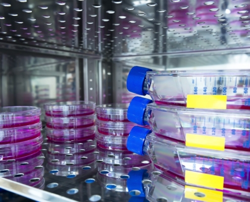 Incubadora de CO2 equipos de laboratorio análisis ciencia