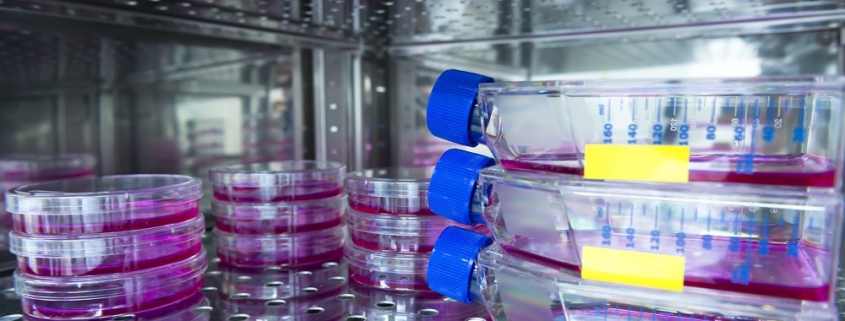 Incubadora de CO2 equipos de laboratorio análisis ciencia