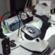 Microscopio gemológico equipos de laboratorio análisis ciencia