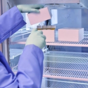 Freezer de laboratorio equipos de laboratorio análisis ciencia