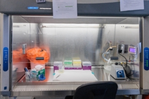 Gabinete de bioseguridad equipos de laboratorio análisis ciencia