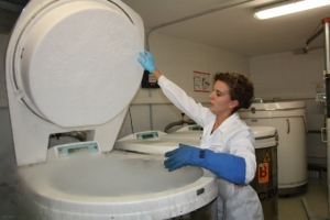 Nitrógeno líquido equipos de laboratorio análisis ciencia blogs