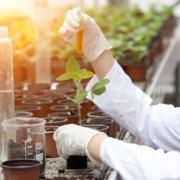 Equipos de laboratorio para agronomía ciencia análisis