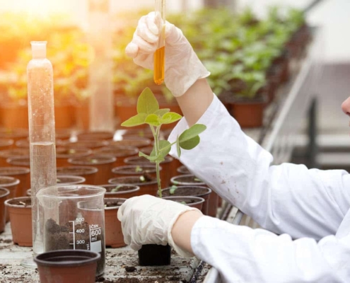Equipos de laboratorio para agronomía ciencia análisis